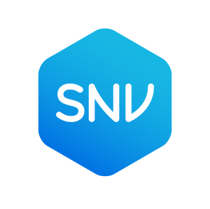 SNV_logo-primary gradient RGB