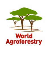 ICRAF Logo-01