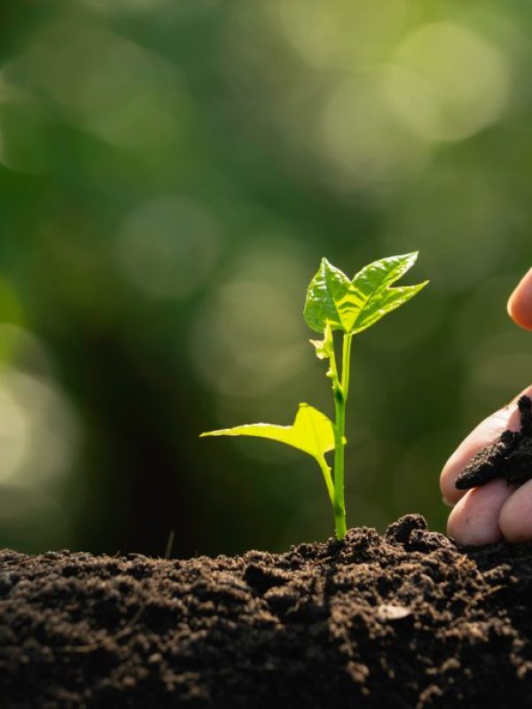 soil.shutterstock_1361098592-1024x683